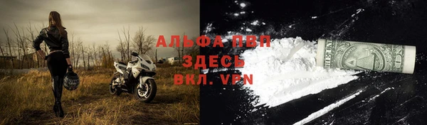винт Верея