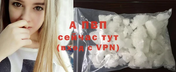 винт Верея