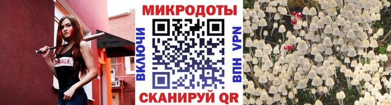 блэк спрут tor что такое наркотик Шагонар Псилоцибиновые грибы ЛСД