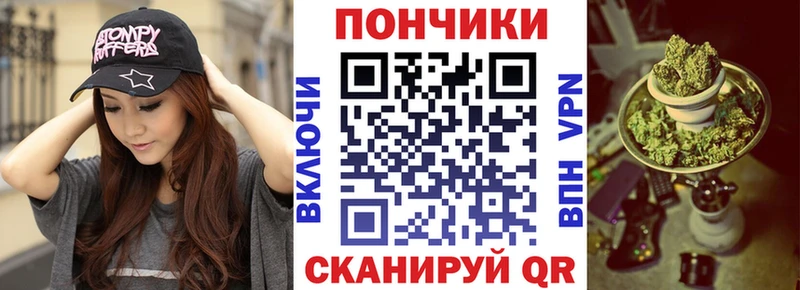 как найти закладки  Шагонар  Бошки Шишки ГИДРОПОН 